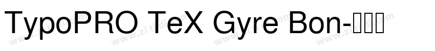 TypoPRO TeX Gyre Bon字体转换